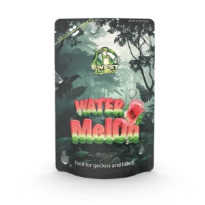 Sweet reptile gekko voer watermeloen